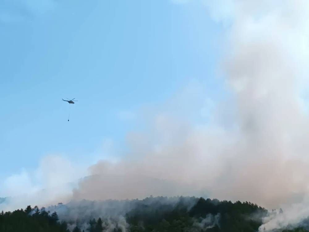 Kastamonu'da orman yangını kontrol altına alındı;  20 hektar alan zarar gördü