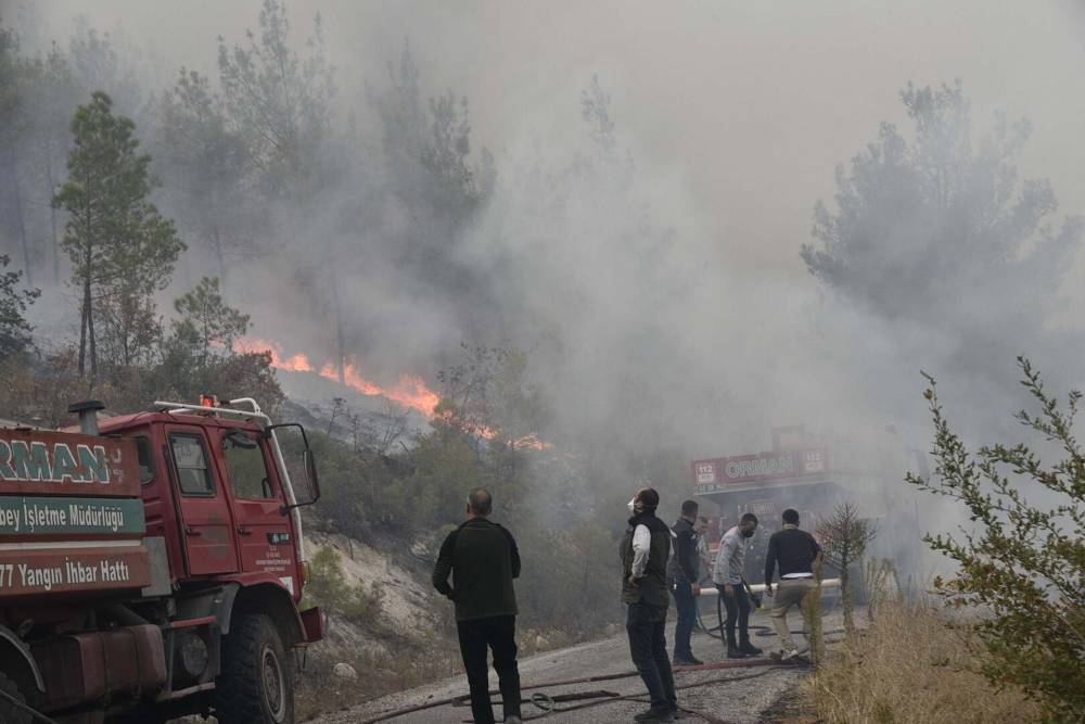 Balıkesir’deki orman yangını, 15 saat sonra kontrol altında