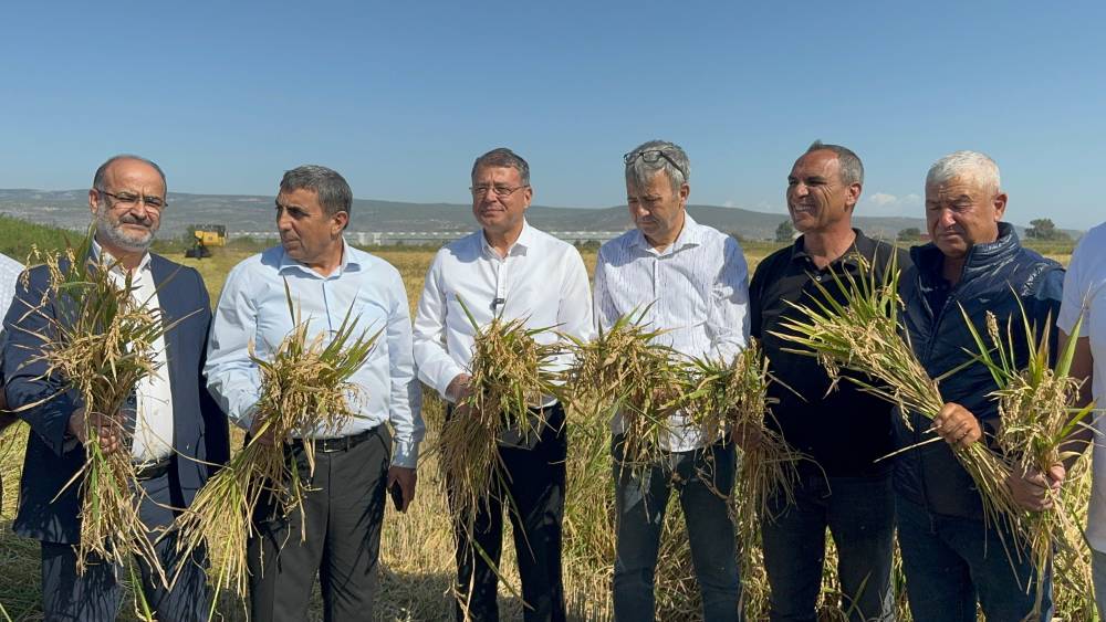 Mersin’de çeltik hasadı başladı