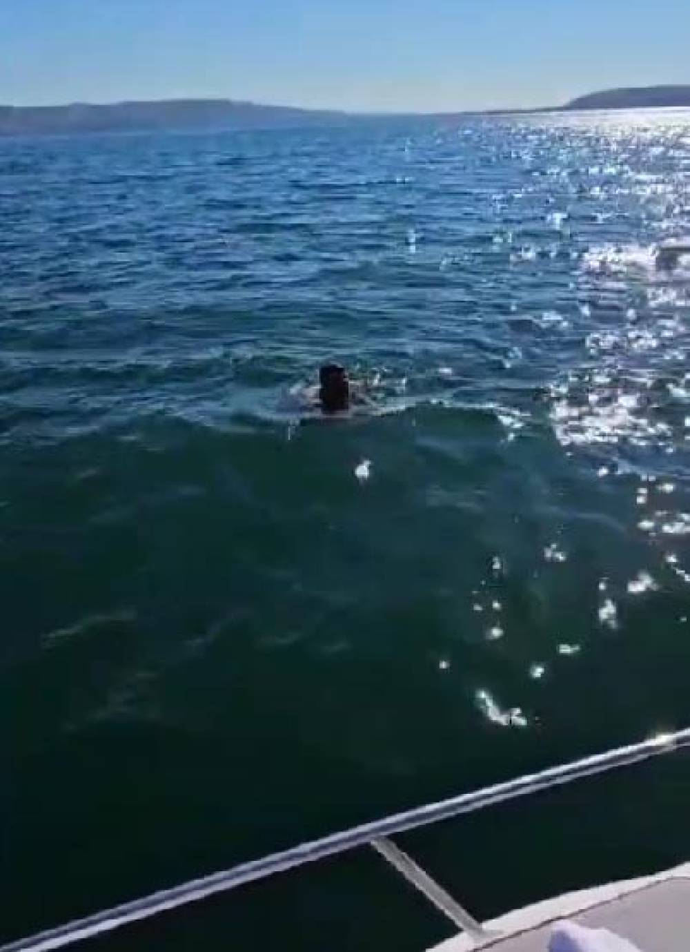 Dünya şampiyonasına hazırlanan milli güreşçi Sapanca Gölü'nü yüzerek geçti