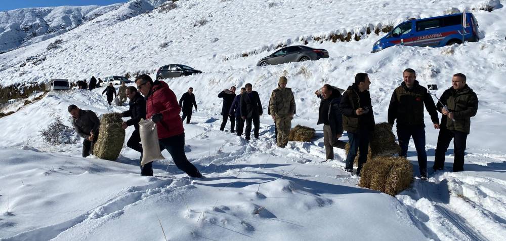 Erzurum'da yaban hayatı için doğaya yem bırakıldı