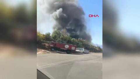 ANTALYA  Ağıl yangınında 50'ye yakın keçi ve koyun öldü