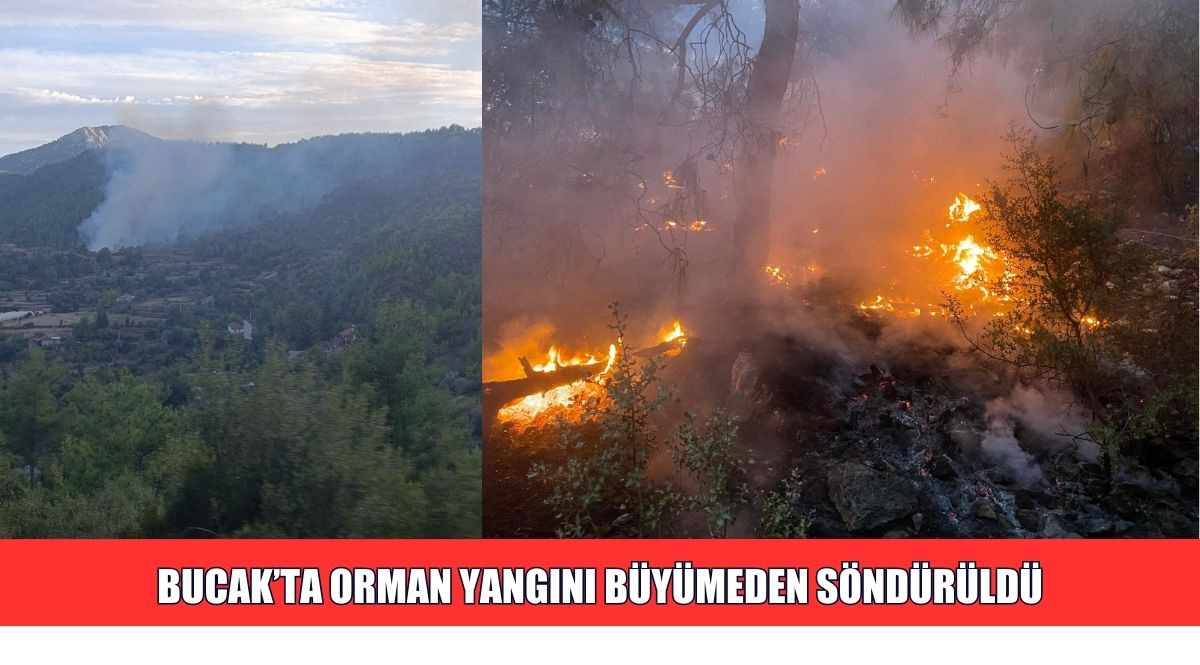 BUCAK’TA ORMAN YANGINI BÜYÜMEDEN SÖNDÜRÜLDÜ