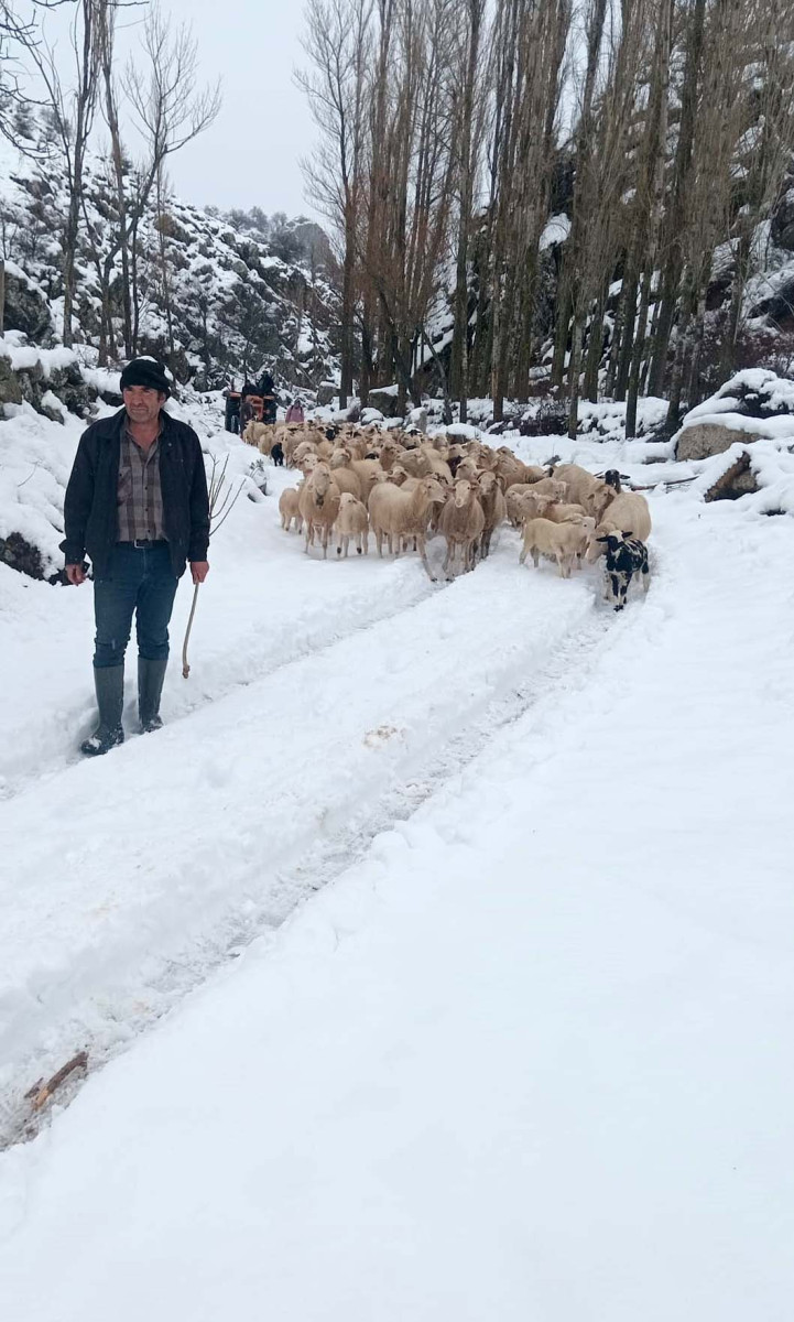 Karda mahsur kalan çoban ve ailesi kurtarıldı