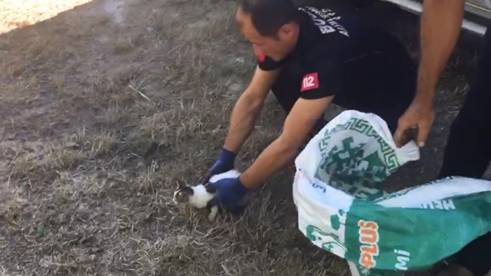 Bucak’ta boş sondaj kuyusuna düşen yavru kedi kurtarıldı